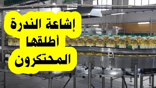 المحتكرون كانوا وراء إشاعة ندرة الزيت وتم التحكم في الوضع   تجارة    زيت  رمضان