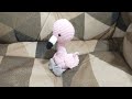 Flamingo amigurumi - passo a passo