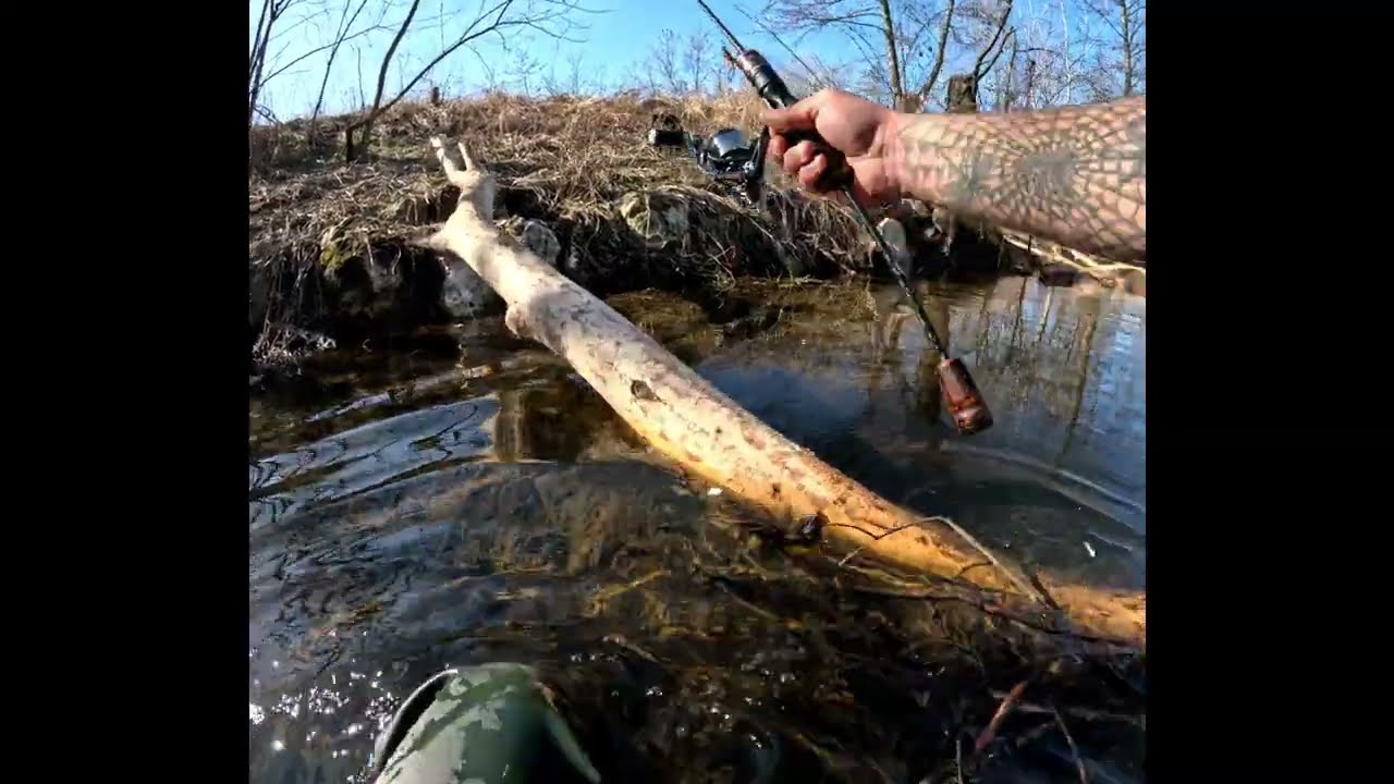 Incepe cleanul sa miste?