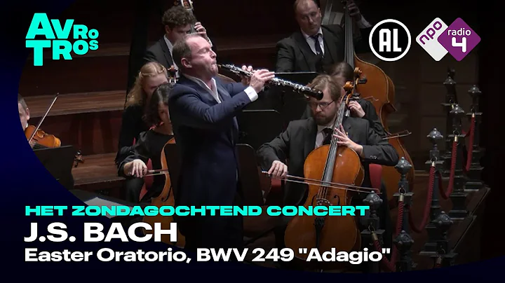 Bach: Easter Oratorio, BWV 249 "Adagio" - Alexei Ogrintchouk & Sinfonietta Rīga - Live concert HD