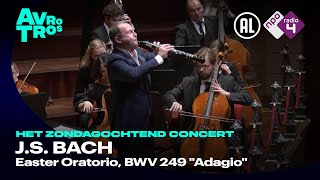 Bach: Easter Oratorio, BWV 249 'Adagio'  Alexei Ogrintchouk & Sinfonietta Rīga  Live concert HD