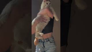 π©Ά #fitness #progress #gym #reveal #cats #cat #workout #journey #fit #fitnessjourney π©Ά #fitness #progress #gym #reveal #cats #cat #workout #journey #fit #fitnessjourney