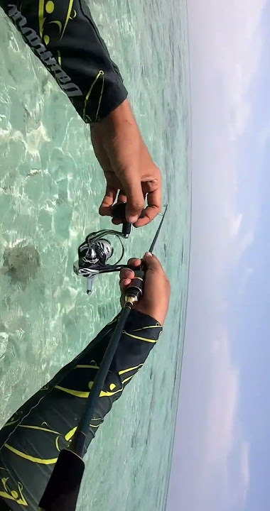Travel Rod MURAH‼️ELITO SKIPJACKS 704S