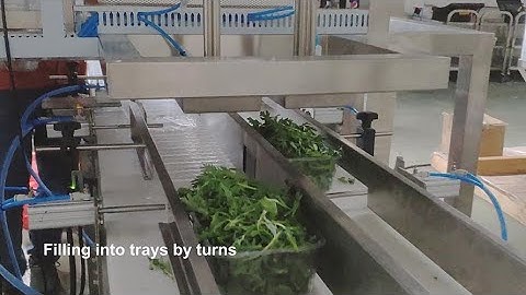 Salad tray denesting machine