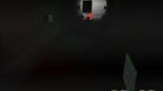 Video.mp4