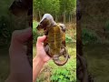 А вы видели такую черепаху 🐢?