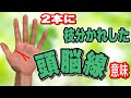 頭脳線が枝分かれしてる　かなりすごいこと　いろいろな違いを解説します