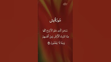 سوره يس||surah al Yasin||@Quran_is_happiness