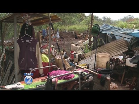 OHA begins to dismantle elaborate homeless campsites in Wahiawa