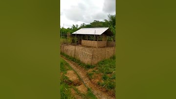 Kandang Bebek di Pinggir Sawah