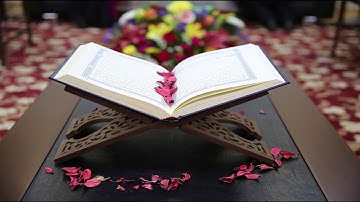 وأقيموا الصلاة وآتوا الزكاة وأطيعوا الرسول لعلكم ترحمون   سورة النور آية 56
