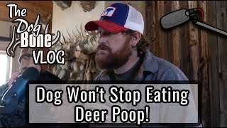 Dog Won't Stop Eating Deer Poop! | The DogBone VLOG: Ep: #47