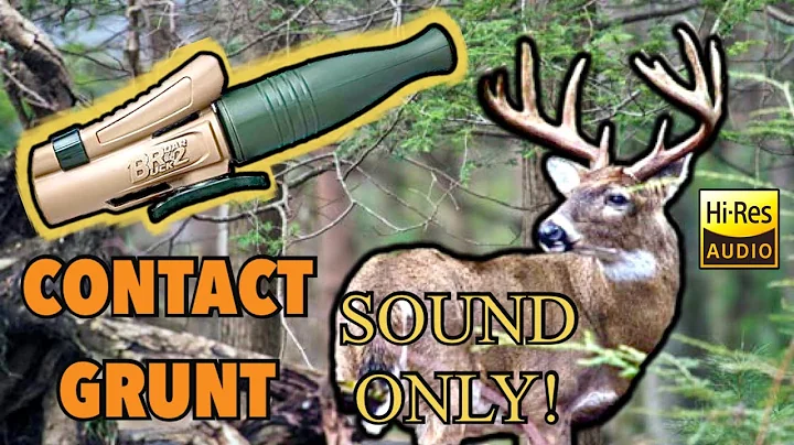 Sound Only: Mature Buck Contact Grunt (Play While Hunting) Primo’s Buck Roar 2 Deer Call