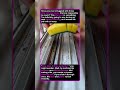 🧽 WINDOW HACK! Perfect Track Cleaning #diy #cleaning #lifehacks #home