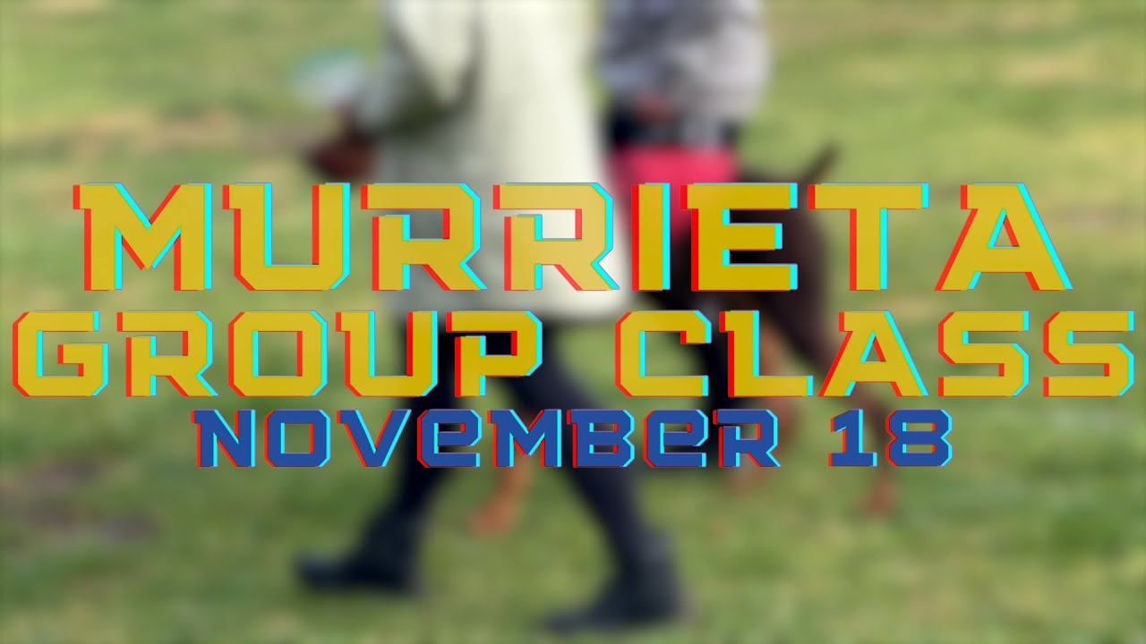 Murietta Group Class Recap w/ Kyonia! | Nov 18 | Epic Dog Academy