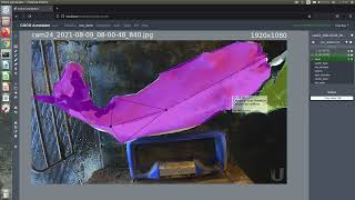 COCO Annotator Demo Part 1 | for AutoCattlogger Wealth