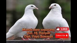 Tarling Lawas 'Manuk Dara Sepasang'
