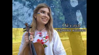 Ой у лузі червона калина!( violin cover) #СлаваУкраїні 💙💛(Анастасія Косточко)