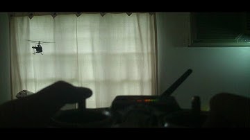 Eflite Blade MSR: Flight using just trims - Trim Punches