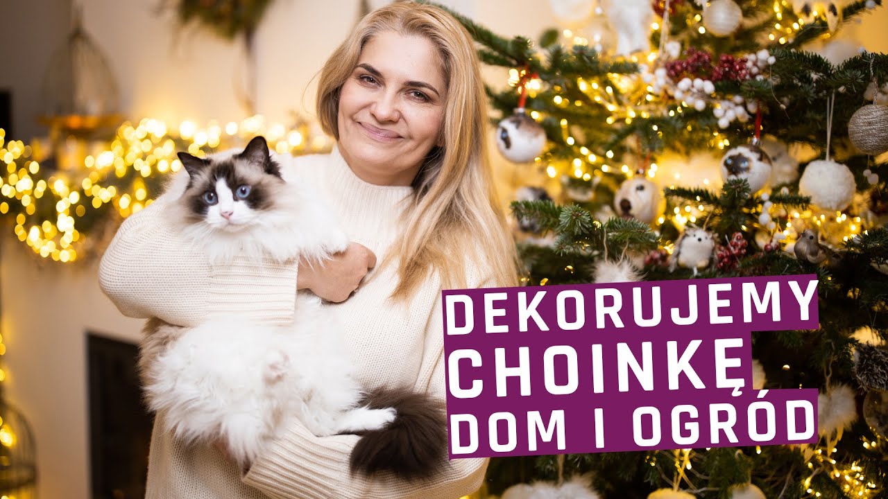 Zobaczcie jak udekorowałam choinkę, dom i ogród na święta.