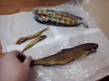 Омуль байкальский. baikal fish