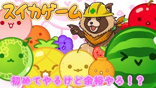 【スイカゲーム】初挑戦だけど余裕やろ…え！？制作会社さんはプロジェクターの会社さん！？