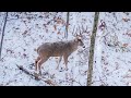 15 kills in 2 Minutes - 2019 Hunting Highlights