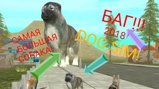 БАГ САМОЙ БОЛЬШОЙ СОБАКИ В ИГРЕ!! - Dog Sim