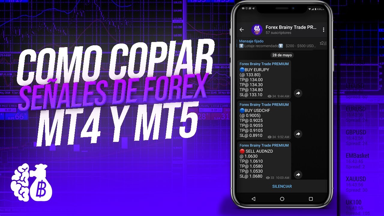 CÓMO OPERAR SEÑALES DE FOREX PARA METATRADER 4 Y 5 (EXPLICADO)📈 - YouTube