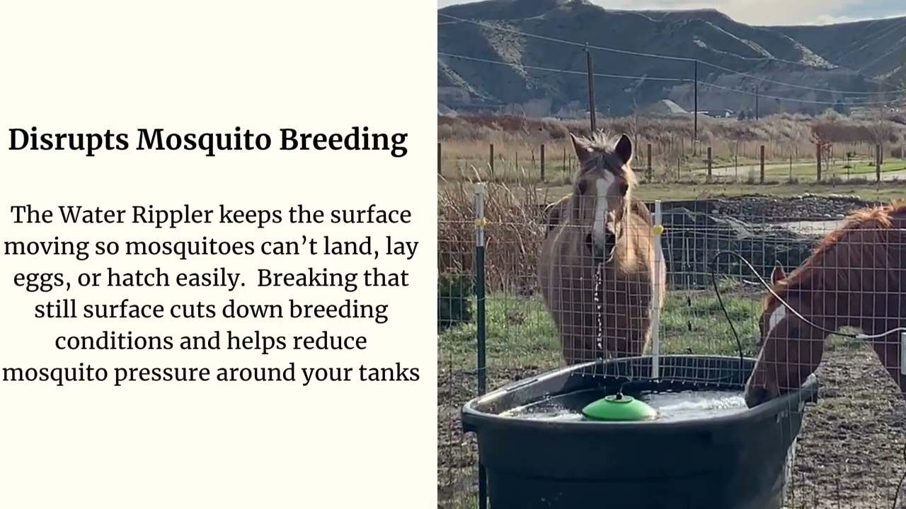 Keep your livestock healthier with cleaner, fresher water year-round.
