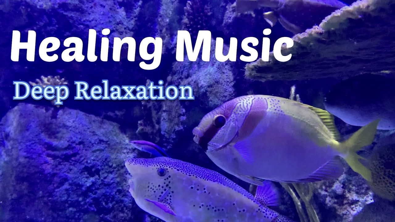 🌈👁DEEP RELAXATION🧘🏻WITH HEALING MUSIC. RELIEVE STRESS, CALM THE MIND ...