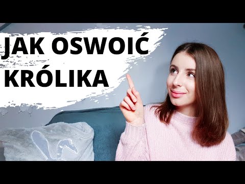 Wideo: Jak Oswoić Ozdobnego Królika