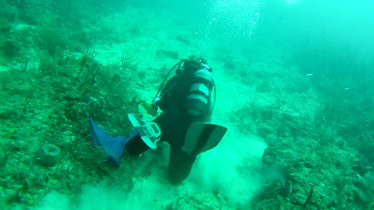 Diving for lobster off of Boynton Beach YouTube