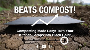 CARDBOARD CURE - This Simple Hack Beats Compost For Soil Problems!