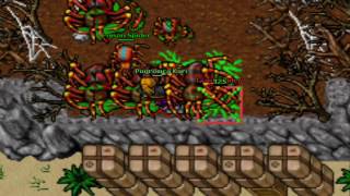 Tibia Refugia 2008 - Pogromca Kari - GS Hunt