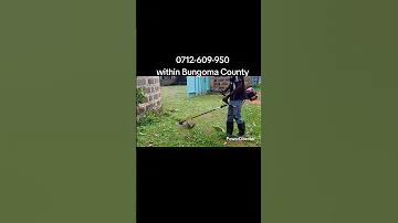We Are The Lawn Guys In Bungoma 