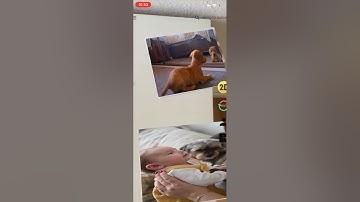 Save your videos on printed photos in augmented reality with LoveAR App