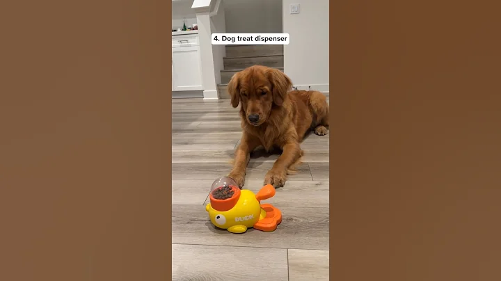 10 Things I Bought My DOGS #shorts #justicebuys #products