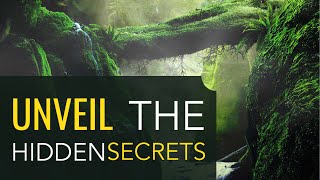 Dementia Island - Aquagon