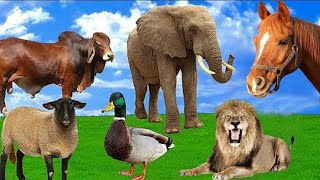 Cute little animals: lion, cow, elephant, dog, cat, chicken,....