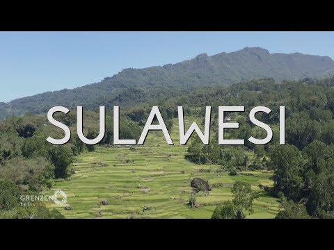 Video: Sulawesi-Meer: Lage, Beschreibung und Tierwelt