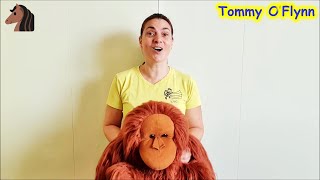 Tommy OFlynn - Knee bouncing rhyme | Nursery rhymes & kids songs to sing and move along