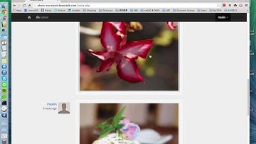 Photo Gallery - Content Management System (PHP/MySQL)