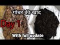 बाल्टी में गोबर की शक्तिशाली, जैविक खाद बनाओ सबसे जल्दी| gobar ki khad /cow dung compost at home