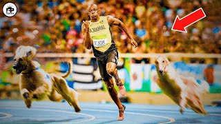 Usain Bolt LOSES! Fastest Dog EVER?