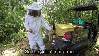 Installing a Flow Hive Super by William Storoe 53 views 5 years ago 2 minutes, 34 seconds