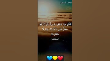 واتقوا يوما تُرجعون فيه إلى الله ... | القارئ امير عادل ❤💛💙