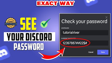 How to See your Discord password 2025 [ Quick Solution ]