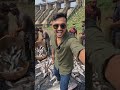 #fishing vlog hirakud dam #trending #shortsfeed