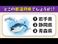 【都道府県三択クイズ】全10問！この名産はどこの都道府県のもの？【高齢者向け】